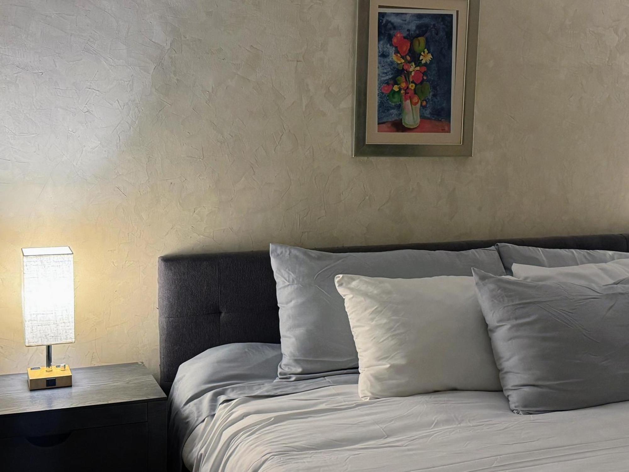 Macarena Guest House San Miguel de Allende Dış mekan fotoğraf